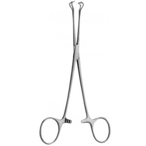 Babcock Tissue Forceps